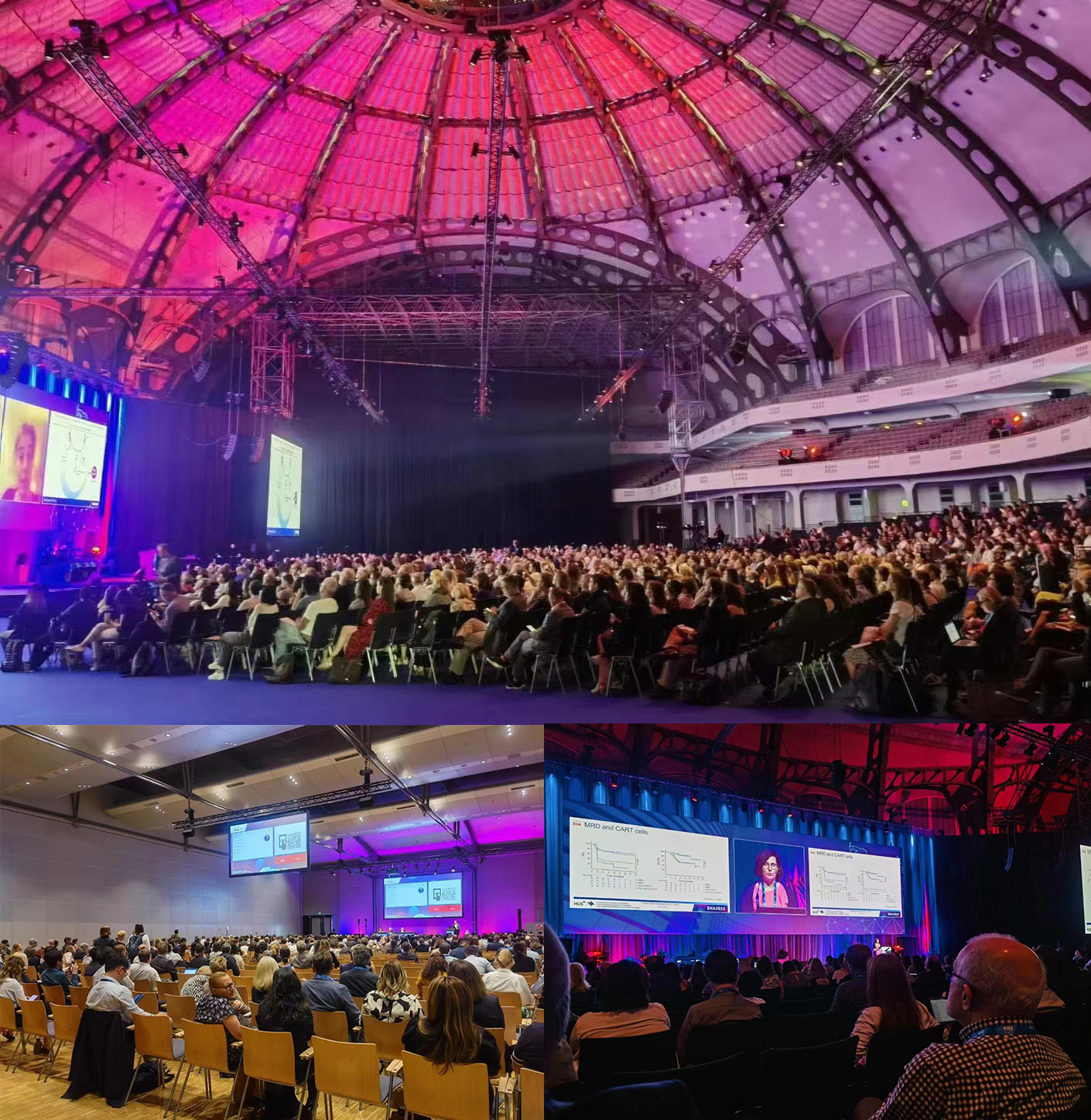 648828da70541.jpg 648828da70541.jpg